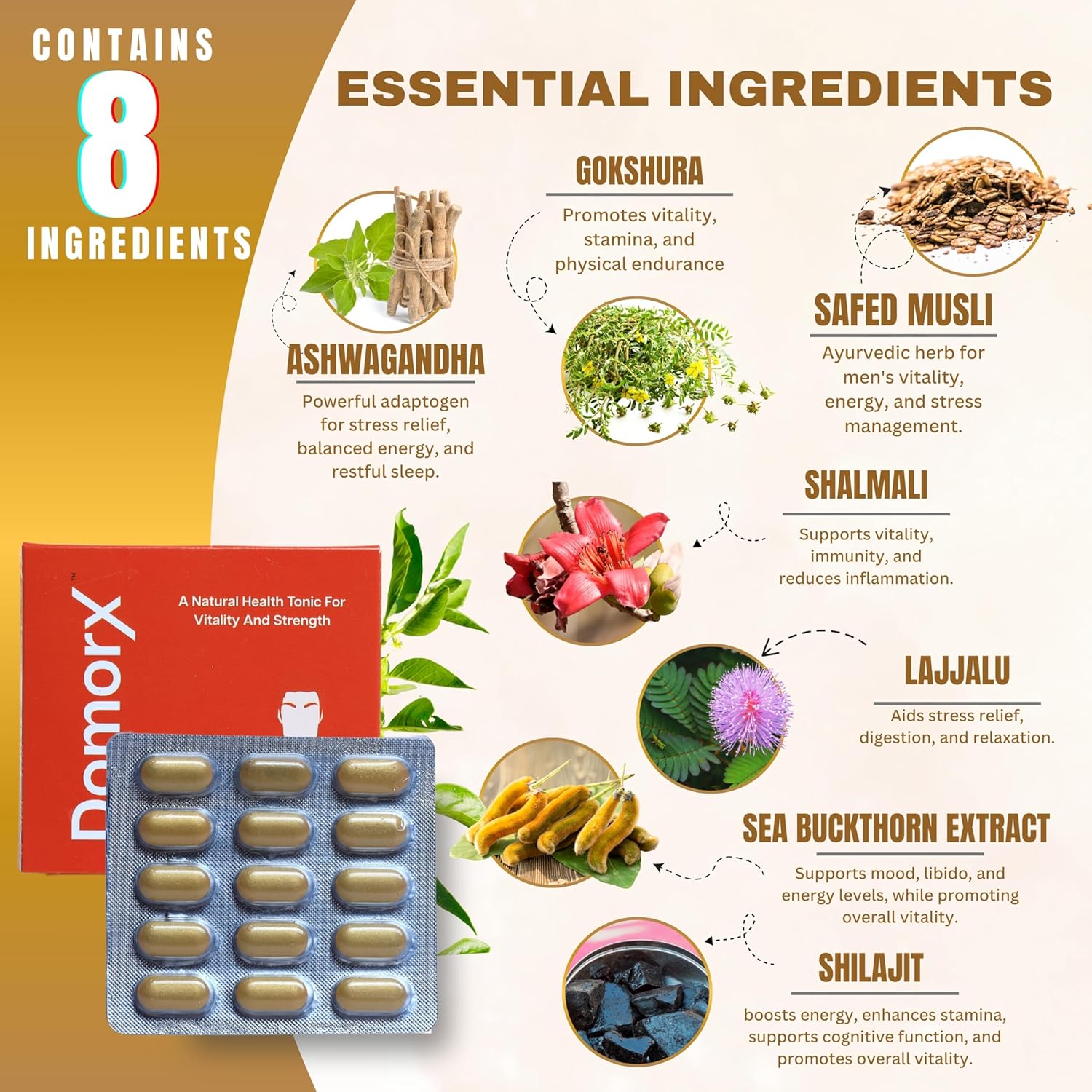 Ayurvedic Men's Supplement | Domorx Tablets | Energy, Stamina & Vitality |Safed Musali 250 mg | Shilajit 25 mg | Ashwagandha 250 mg | 30 Tablets